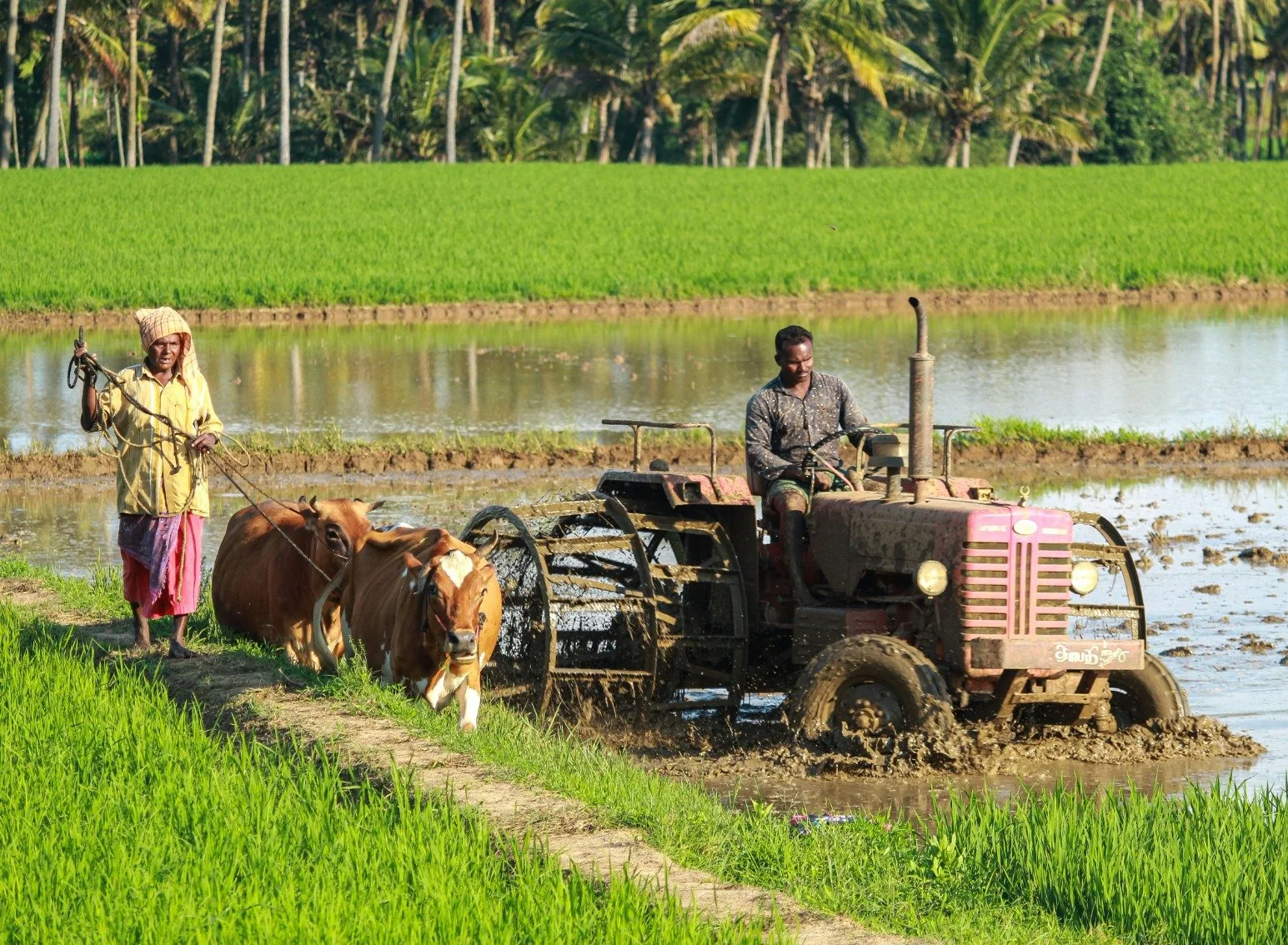 Farmers working a field