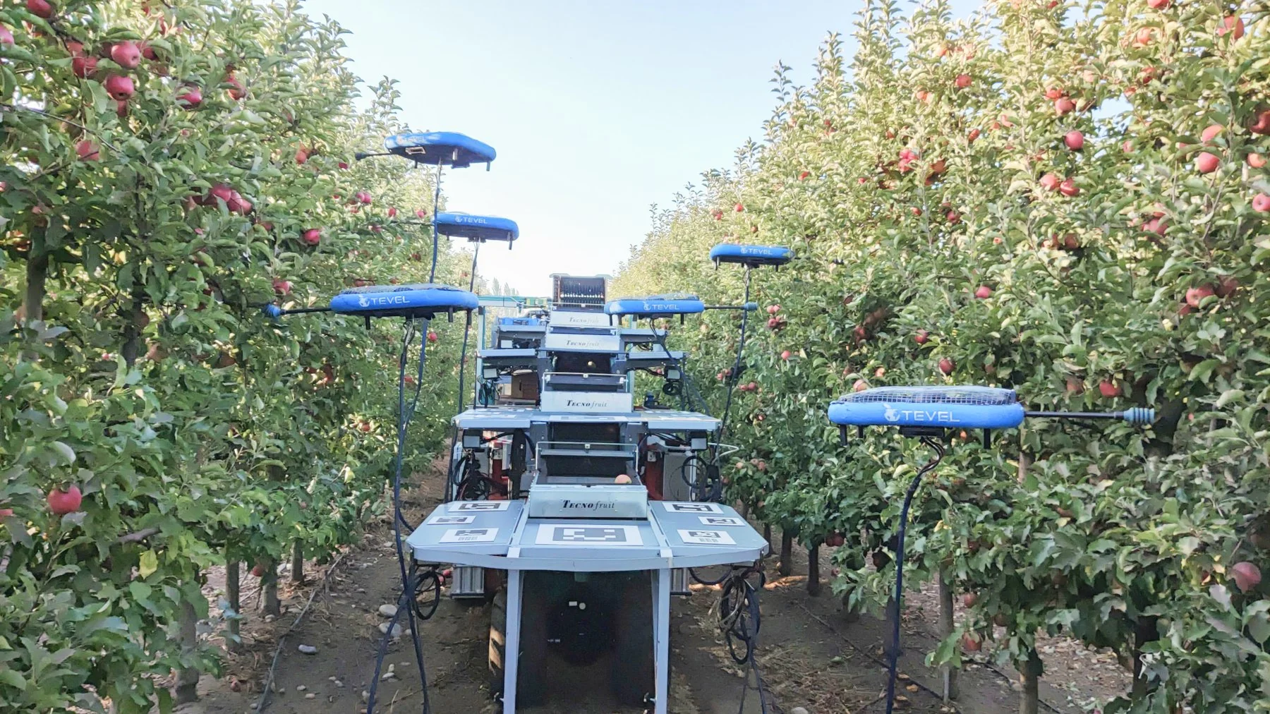 Tevel drones picking fruit in an orchard